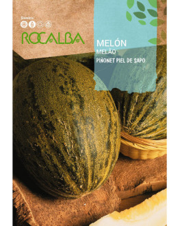 ROCA MELON PIÑONET PIEL DE...
