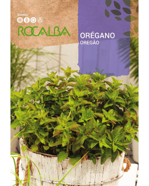 ROCA OREGANO  FNAM7880