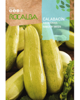 ROCA CALABACIN BIANCA DI...