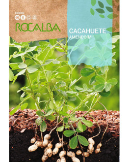 ROCA CACAHUETE SHBN0195