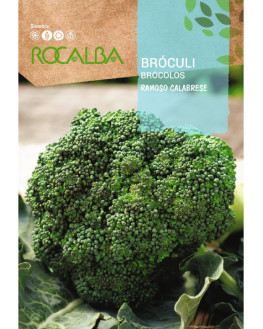 ROCA BROCULI RAMOSO...