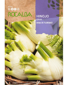 ROCA HINOJO DE FLORENCIA...