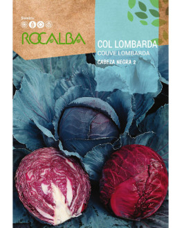 ROCA COL LOMBARDA CABEZA...