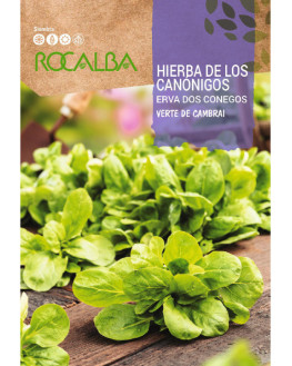 ROCA HIERBA DE LOS...