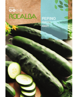 ROCA PEPINO ASHLEY SHBN1050