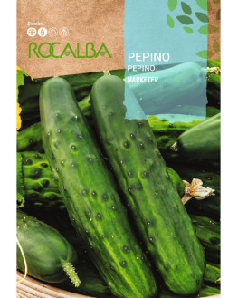 ROCA PEPINO MARKETER SHBN1055