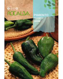 ROCA PIMIENTO PADRON SHBN1175