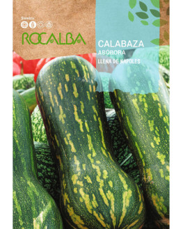 ROCA CALABAZA LLENA DE...