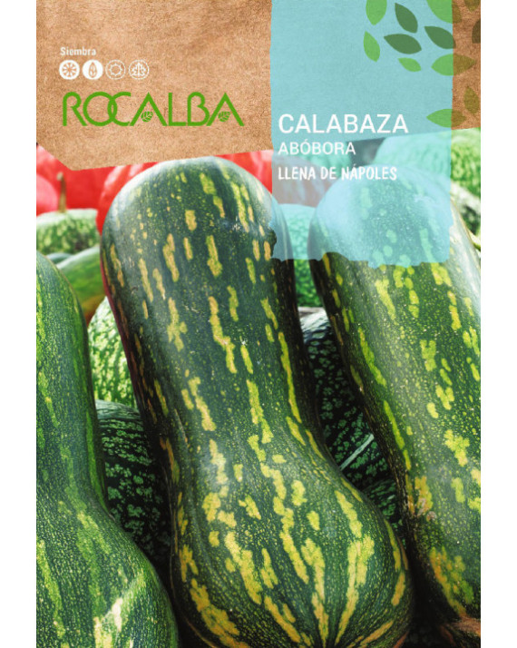ROCA CALABAZA LLENA DE NAPOLES SHBN0260