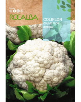 ROCA COLIFLOR METROPOL...