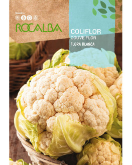ROCA COLIFLOR BLANCA SHBN0555