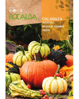 ROCA CALABAZA MEZCLA DE...