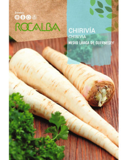 ROCA CHIRIVIA MEDIO LARGA...