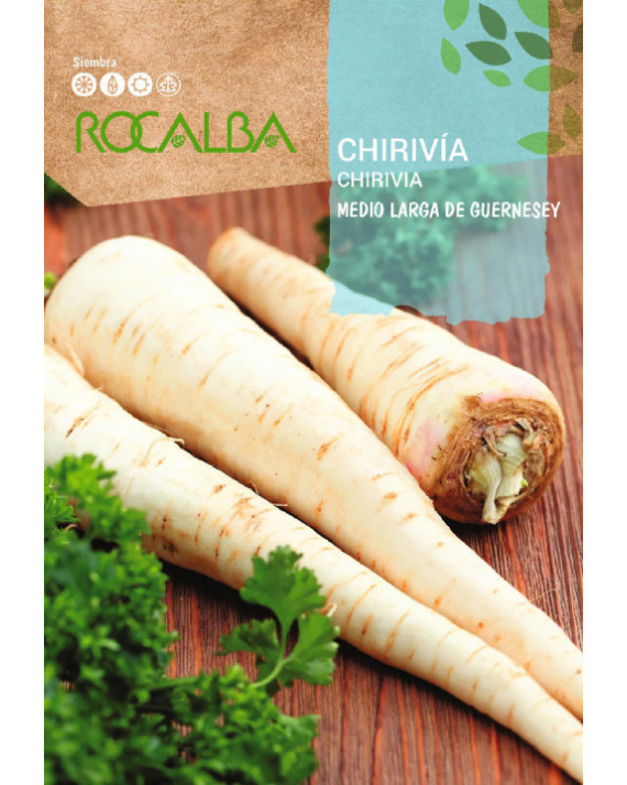 ROCA CHIRIVIA MEDIO LARGA DE...