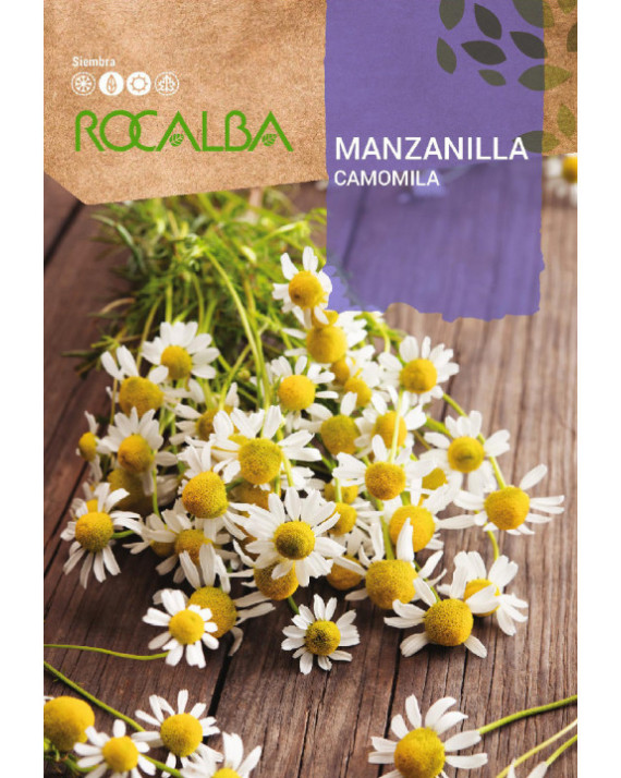 ROCA MANZANILLA FNAM7860