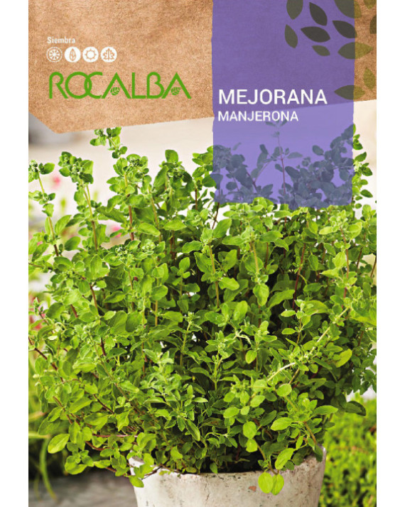 ROCA MEJORANA FNAM7865
