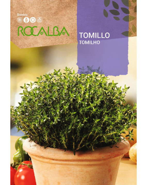 ROCA TOMILLO FNAM7910