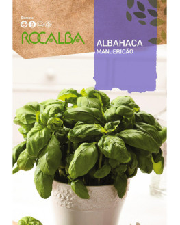 ROCA ALBAHACA FNAM7800