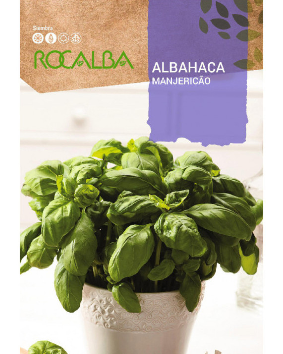 ROCA ALBAHACA FNAM7800