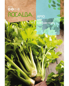 ROCA APIO PLEIN BLANC...