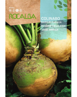ROCA COLINABO RUTABAGA...