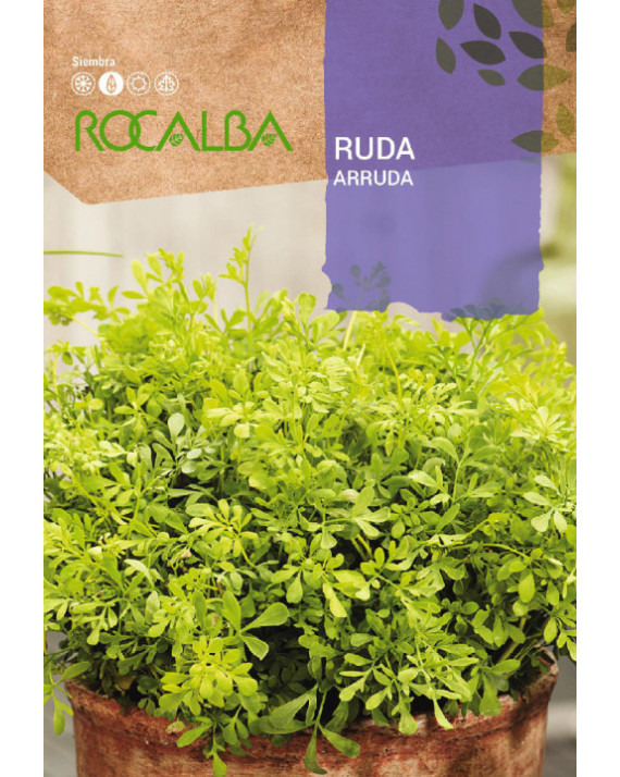 ROCA RUDA  FNAM7895
