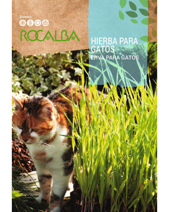 ROCA HIERBA PARA GATOS SHBN0790
