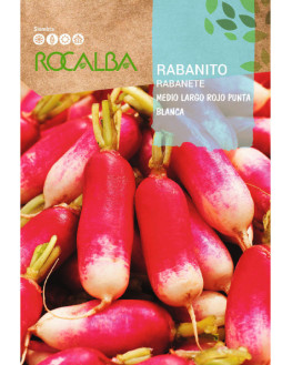 ROCA RABANITO MEDIO LARGO...