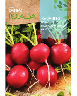 rOCA RABANITO REDONDO ROJO...