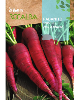 ROCA RABANITO LARGO DE...