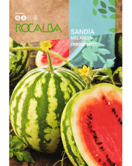 ROCA SANDIA GRIMSON SWEET...