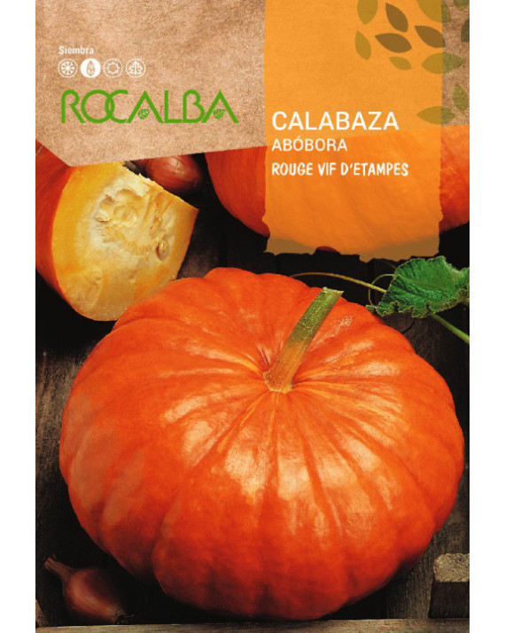 ROCA CALABAZA ROUGE VIF D´ETAMPES...
