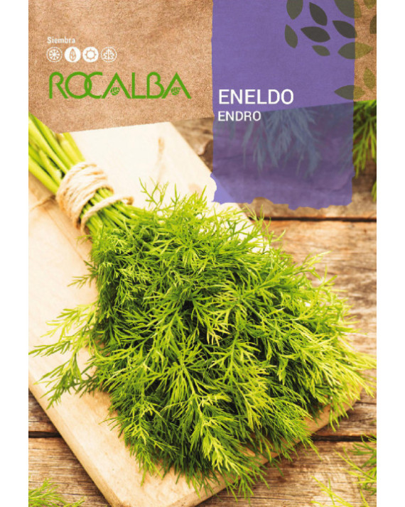 ROCA ENELDO FNAM7832