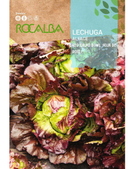 ROCA LECHUGA RED SALAD BOWL...