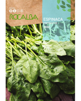 ROCA ESPINACA VIKING  SHBN4015