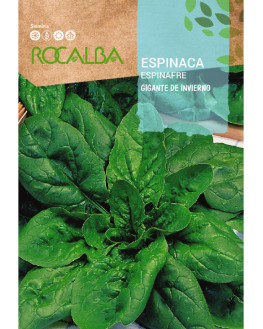 ROCA ESPINACA GIGANTE DE...