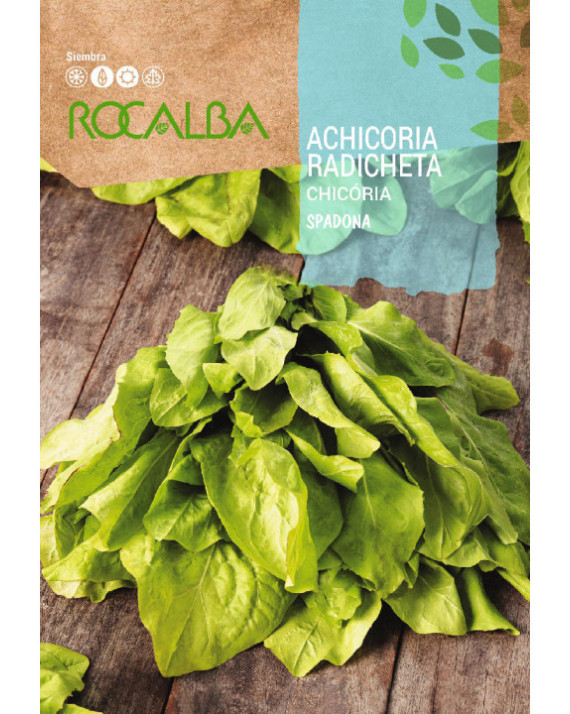 ROCA ACHICORIA RADICHETA 10 G SHBN0027