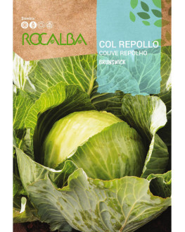 ROCA COL REPOLLO BRUNSWICH...