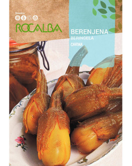 ROCA BERENJENA CARINA BOLSA...