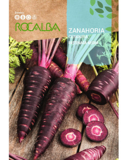 ROCA ZANAHORIA PASTENAGA...