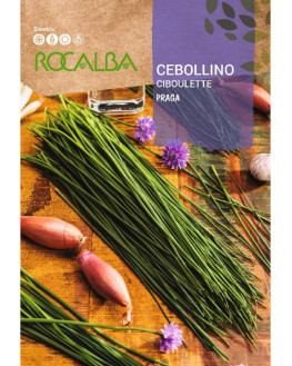 ROCA CEBOLLINO PRAGA BOLSA...