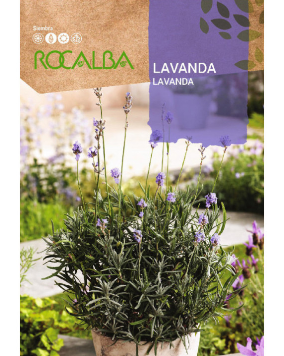 ROCA LAVANDA ESPLIEGO BOLSA FNAM7855
