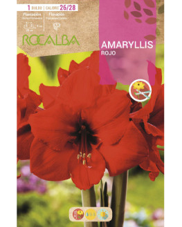 ROCA AMARYLLIS ROJO BOLSA...