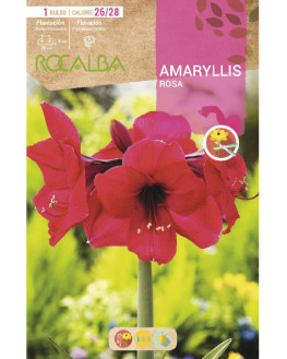 ROCA AMARYLLIS ROSA BOLSA...