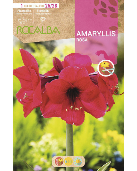 ROCA AMARYLLIS ROSA BOLSA EBAM5895