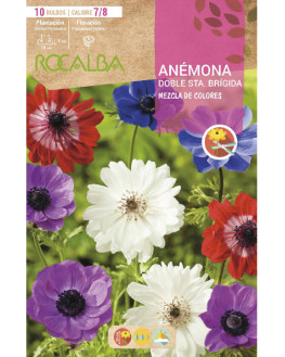 ROCA ANEMONAS DE STA....