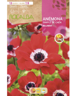 ROCA HOLLANDIA ROJO BOLSA...