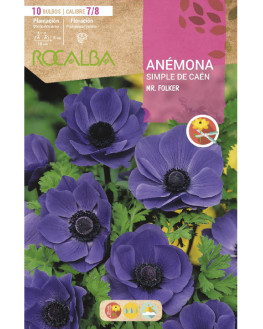 ROCA MR FOLKER AZUL BOLSA...