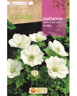 ROCA THE BRIDE BLANCO BOLSA...