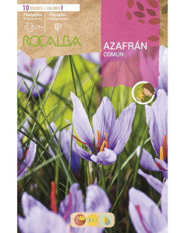 ROCA AZAFRAN COMUN BOLSA...